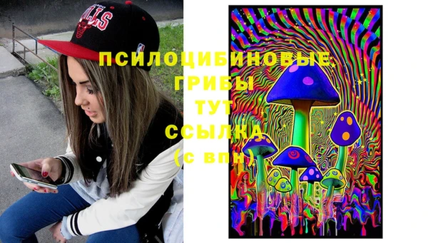 амф Аркадак